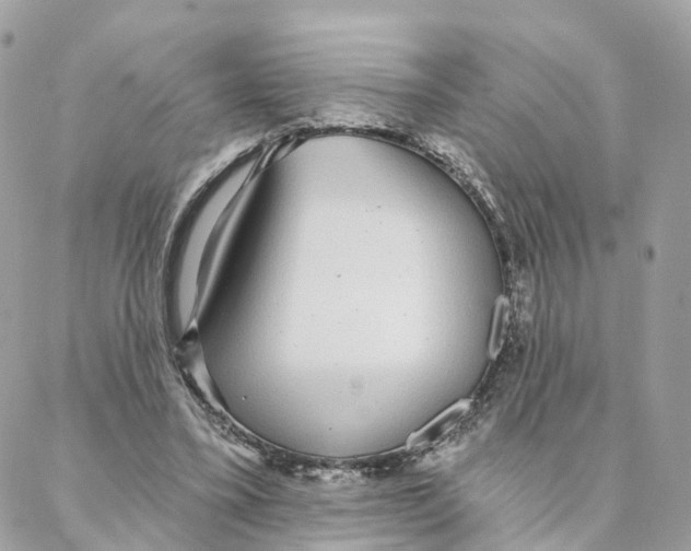 X0000088020395200706011329