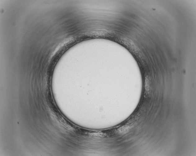 X0000088020396200706011329