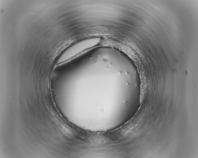 X0000088020397200706011329