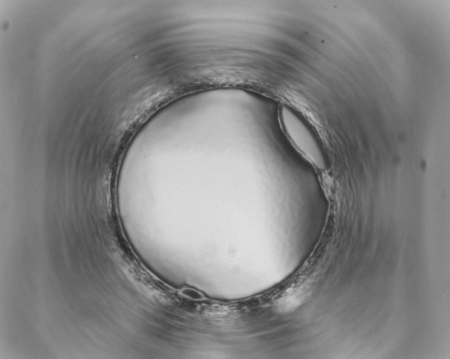 X0000088020398200706011329