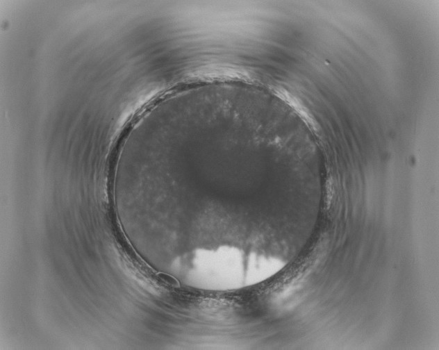 X0000088020399200706011329