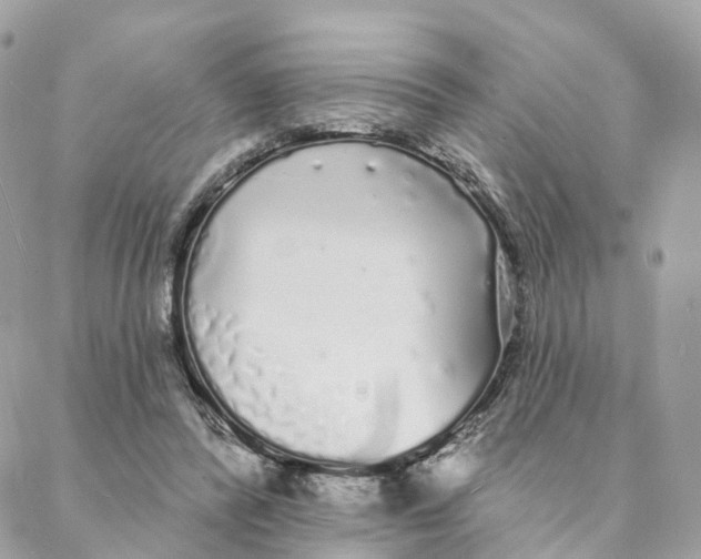 X0000088020400200706011329