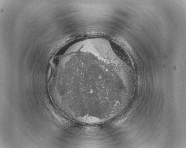 X0000088020401200706011329