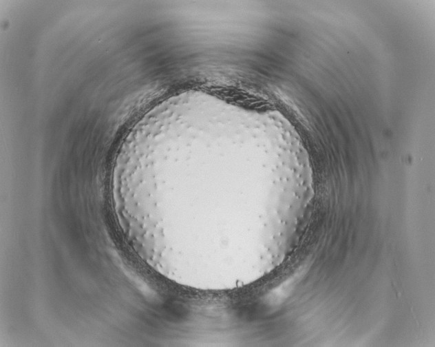 X0000088020402200706011329