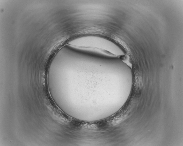 X0000088020403200706011329