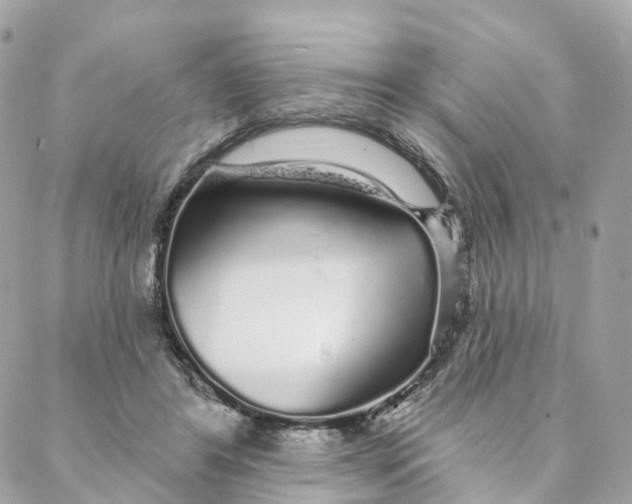 X0000088020404200706011329