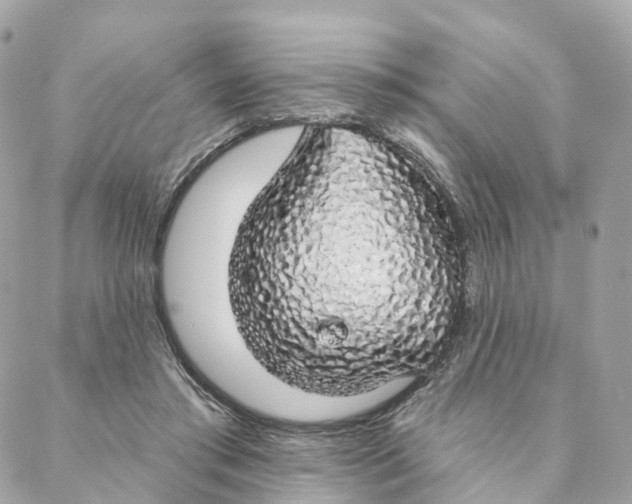 X0000088020405200706011329