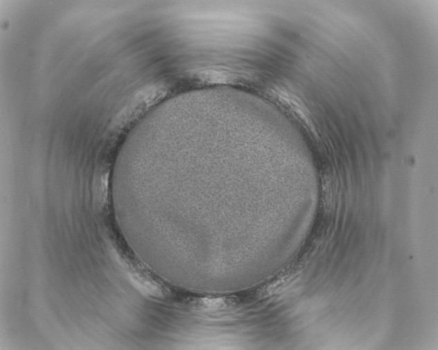 X0000088020406200706011329