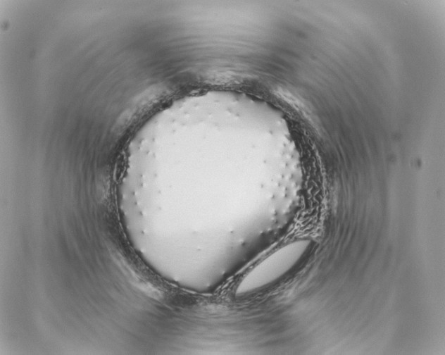 X0000088020407200706011329