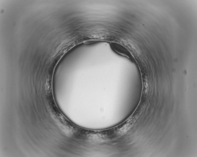 X0000088020408200706011329