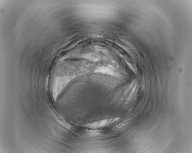 X0000088020409200706011329