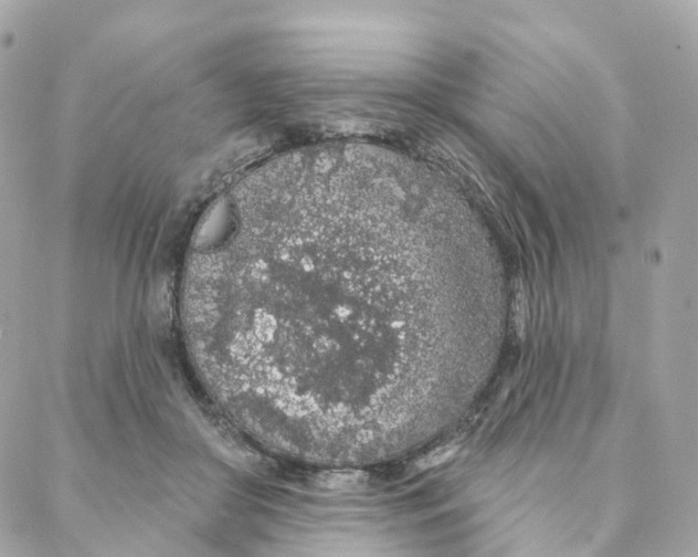 X0000088020410200706011329