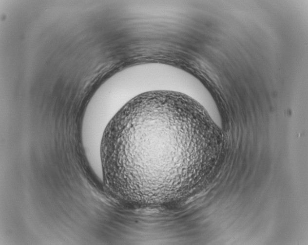 X0000088020412200706011329