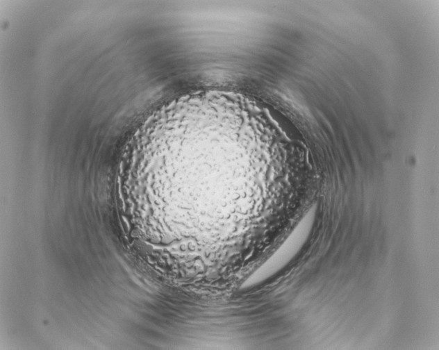 X0000088020413200706011329