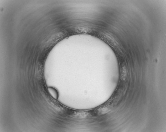 X0000088020414200706011329