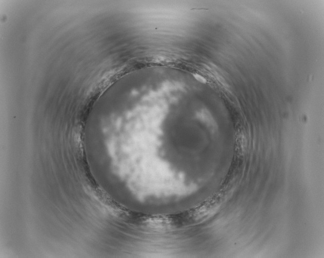 X0000088020415200706011329