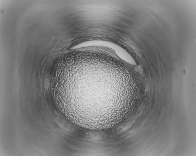 X0000088020417200706011329