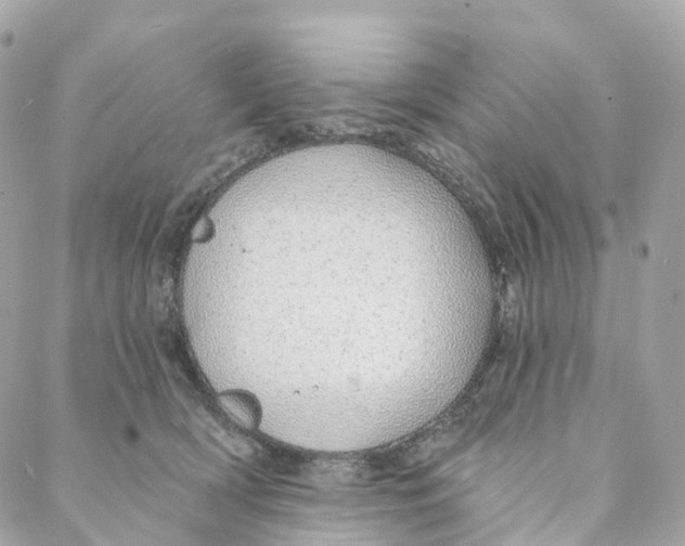 X0000088020418200706011329