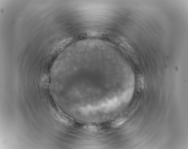 X0000088020419200706011329