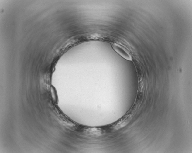 X0000088020421200706011329