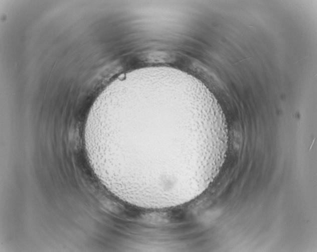 X0000088020422200706011329