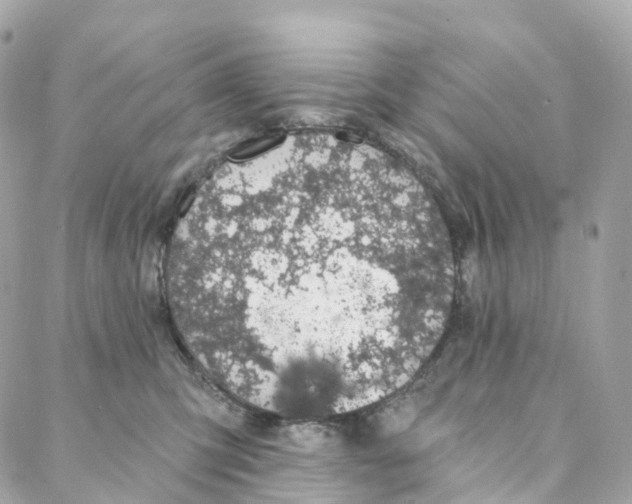 X0000088020423200706011329