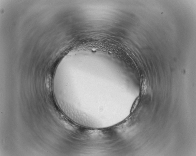 X0000088020424200706011329