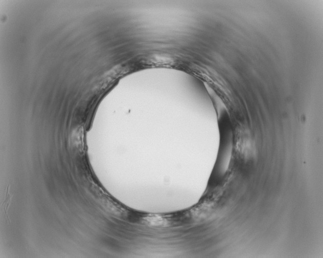 X0000088020425200706011329