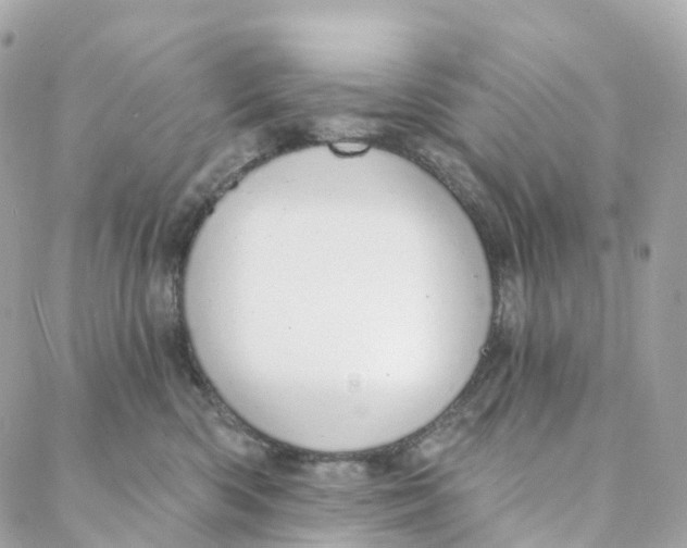 X0000088020426200706011329