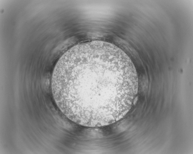 X0000088020427200706011329