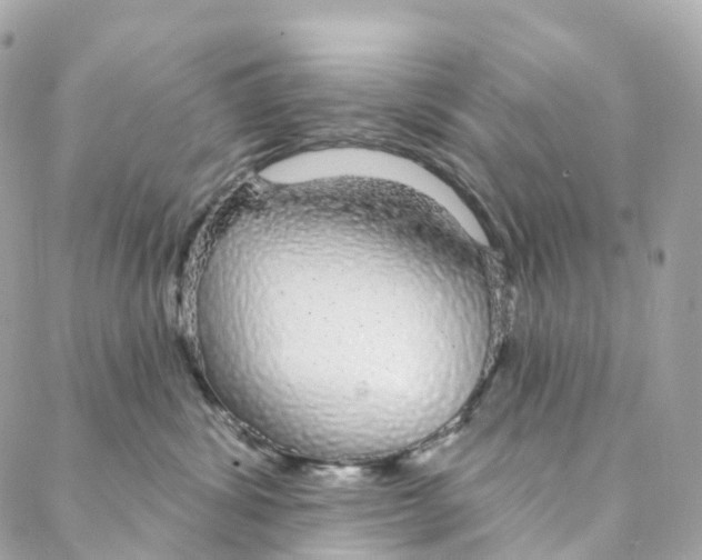 X0000088020428200706011329