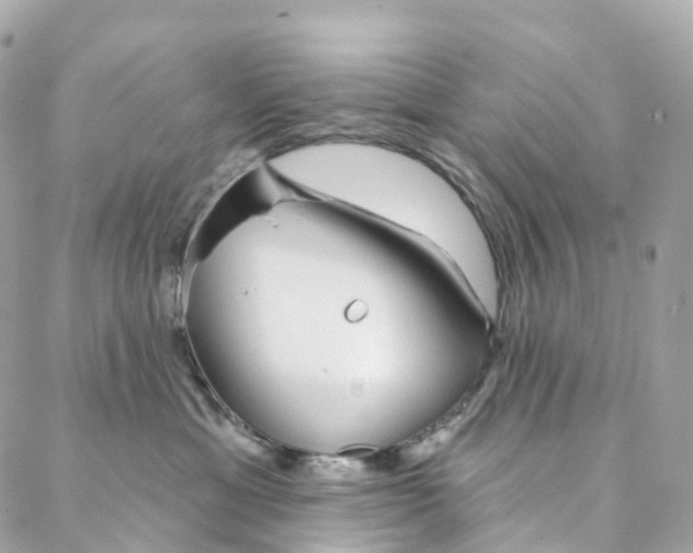 X0000088020429200706011329