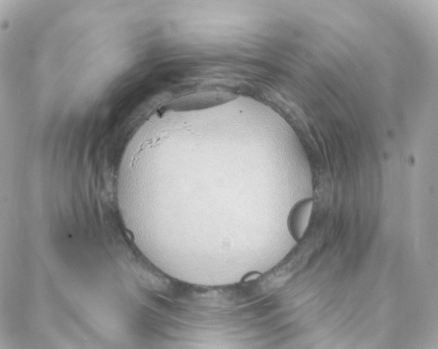 X0000088020430200706011329