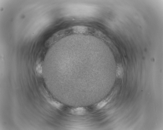 X0000088020431200706011329