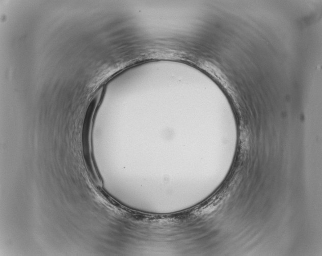 X0000088020433200706011328