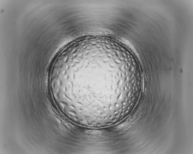 X0000088020435200706011328