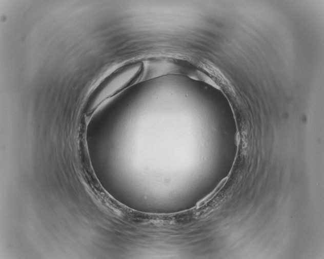 X0000088020436200706011328