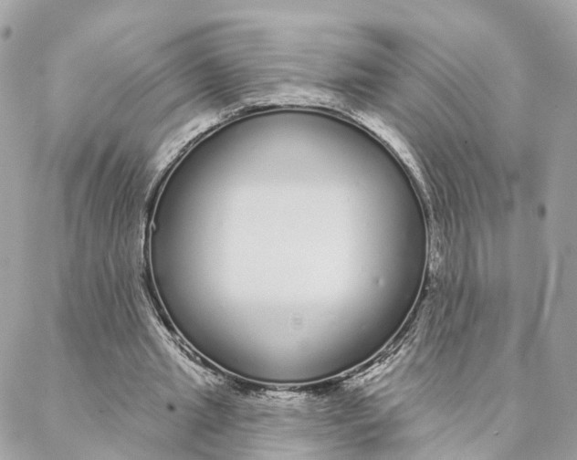 X0000088020437200706011328