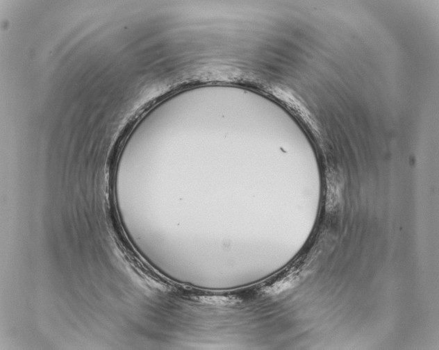 X0000088020439200706011328