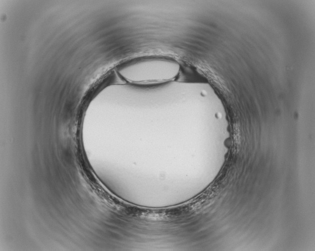 X0000088020440200706011328