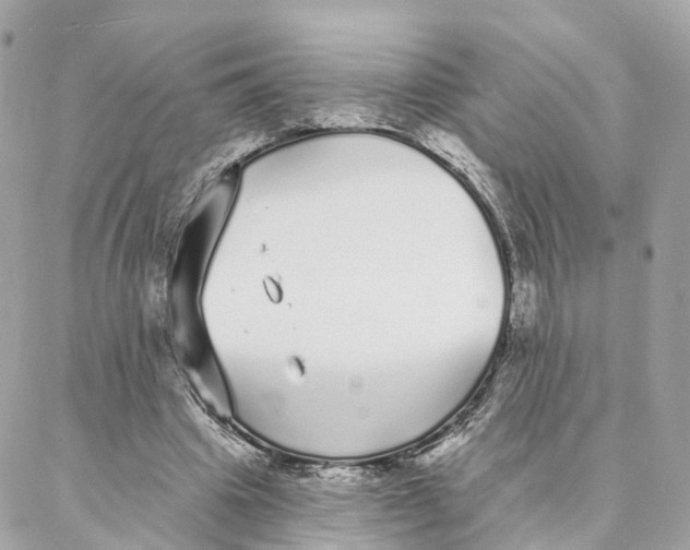 X0000088020441200706011328