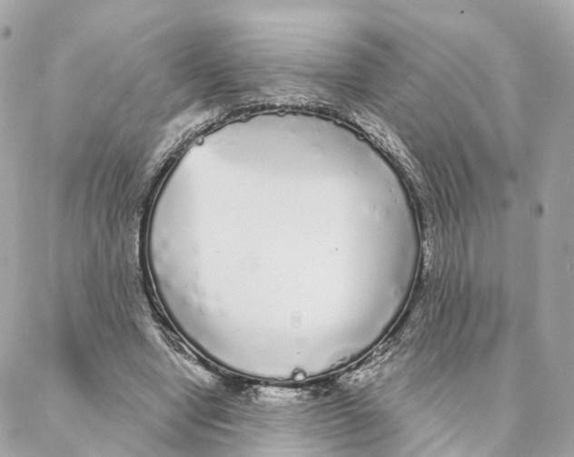 X0000088020442200706011328