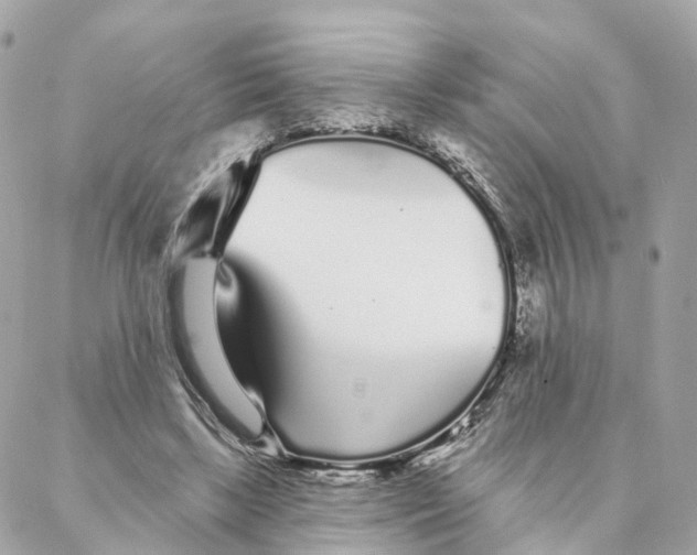 X0000088020443200706011328