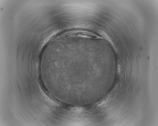 X0000088020444200706011328