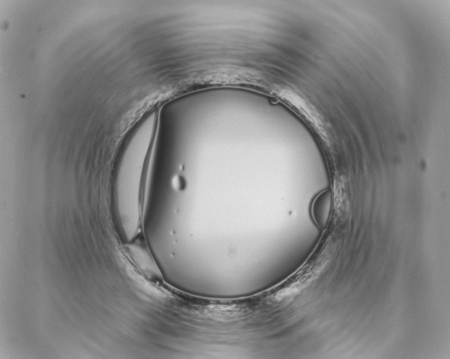 X0000088020445200706011328