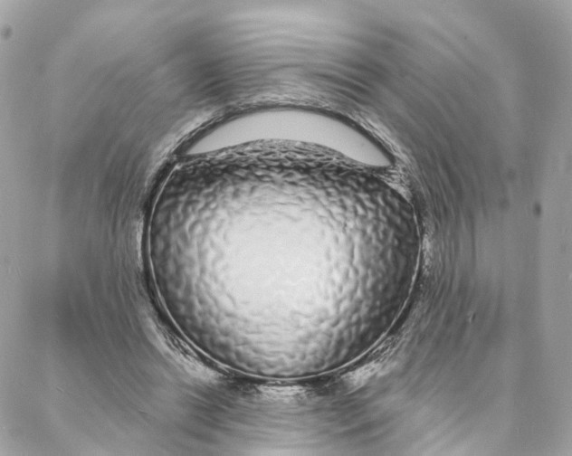 X0000088020446200706011328