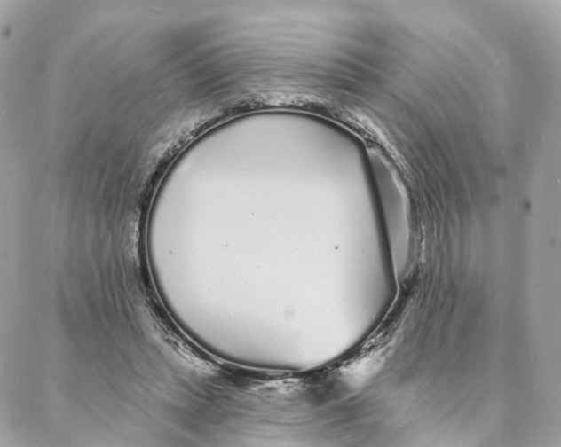 X0000088020447200706011328