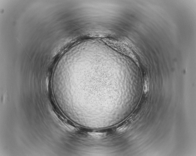 X0000088020448200706011328