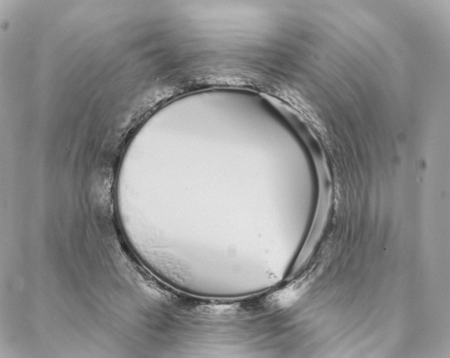 X0000088020449200706011328