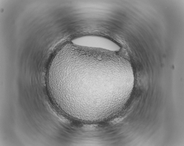 X0000088020450200706011328